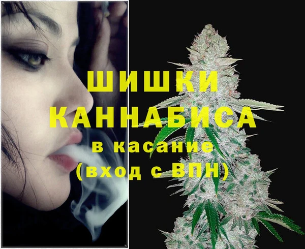 МДПВ Абаза