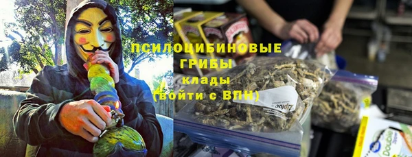 МДПВ Абаза